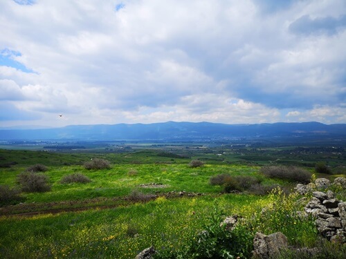 רני טריפ ג'יפ